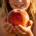🔥 65K+ SOLD! 🍑 Heirloom "Honey Red" Dwarf Peach Tree Live Seeds