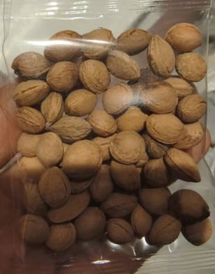 ⏰🍑Heirloom Non-GMO Plum Ready-to-Plant Growing Kit