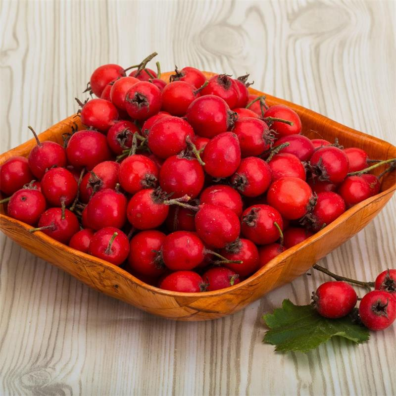 Hawthorn Seeds
